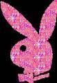 PlayBoy - 