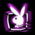 PlayBoy - 