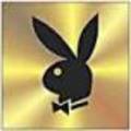 PlayBoy - 