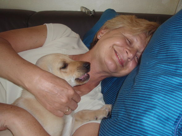 Samanta - 