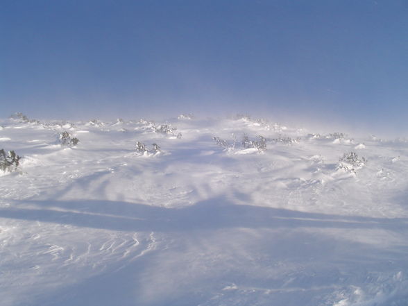 Snowboarden Near Sibiria - 