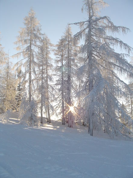 Snowboarden Near Sibiria - 