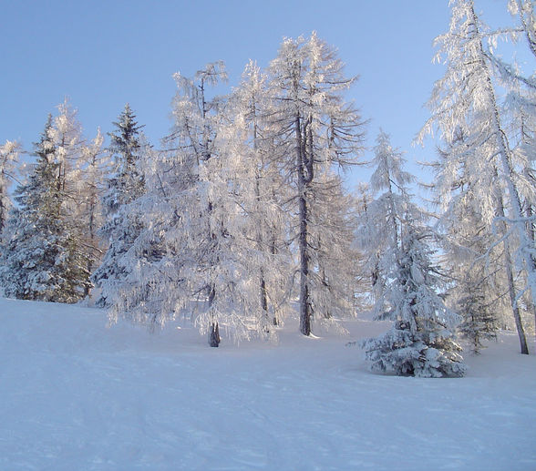 Snowboarden Near Sibiria - 