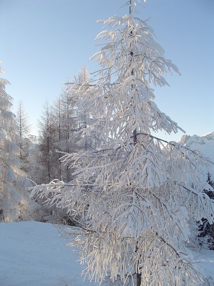 Snowboarden Near Sibiria - 