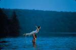 Dirty Dancing..... - 