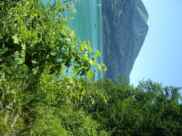 Rap Bull CLIFF DIVING Wolfgangsee 19.7 - 