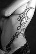 Tattoo`s, Bikes & Cars - 