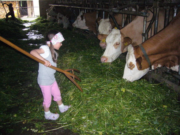 Kurzurlaub am Bauernhof - 