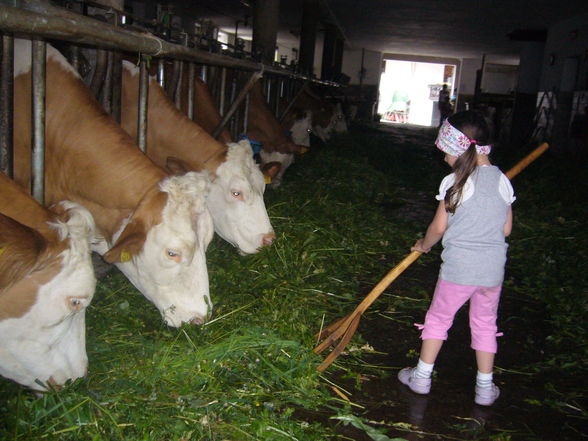 Kurzurlaub am Bauernhof - 