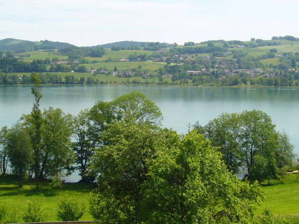 Kurzurlaub am Bauernhof - 