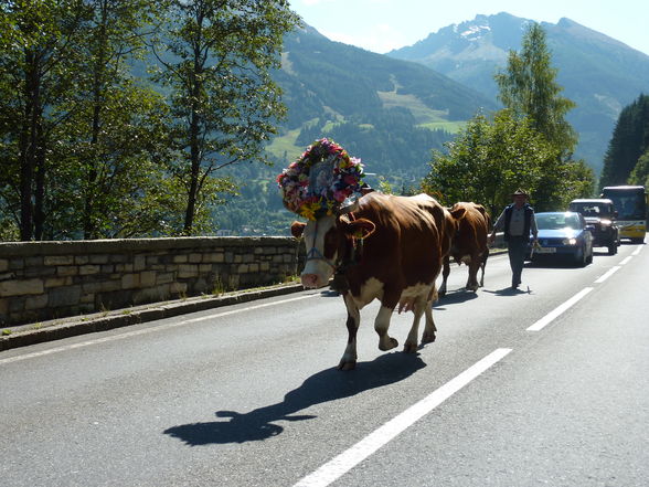 Wandern in Bad Gastein - 