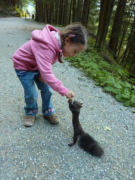 Wandern in Bad Gastein - 