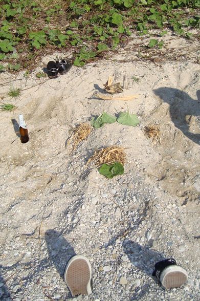 FRÜHLING einfach TRAUMHAFT - 