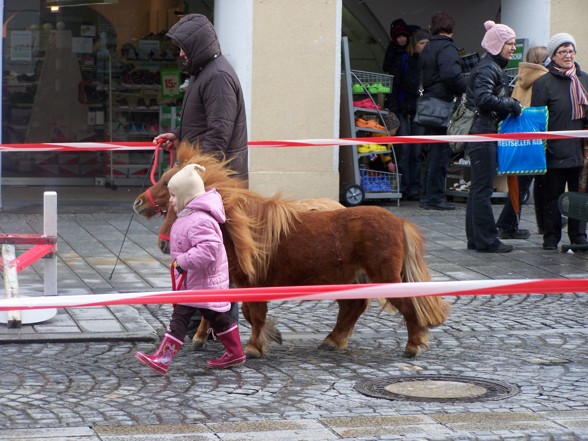 Einfach tierisch... - 