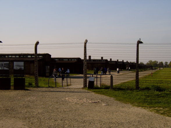 Auschwitz-Auschwitz-Birkenau - 