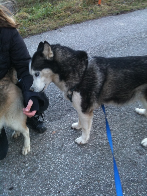 Meine schenstn....Anika, Asta, Nico  - 