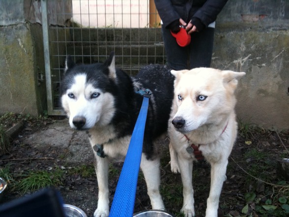 Meine schenstn....Anika, Asta, Nico  - 