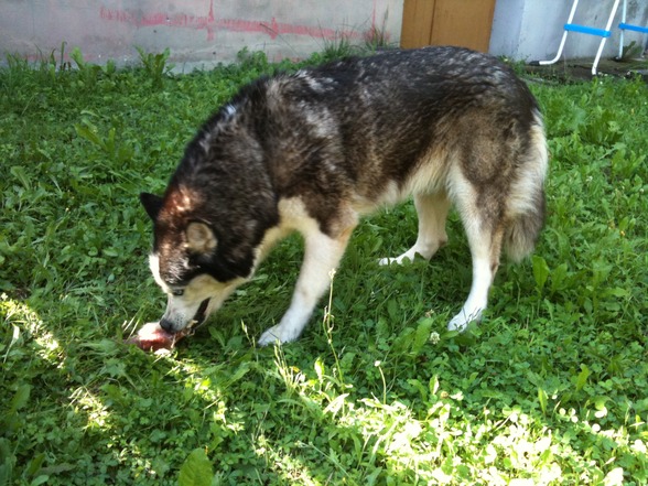 Meine schenstn....Anika, Asta, Nico  - 