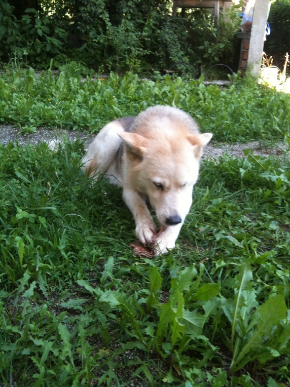 Meine schenstn....Anika, Asta, Nico  - 