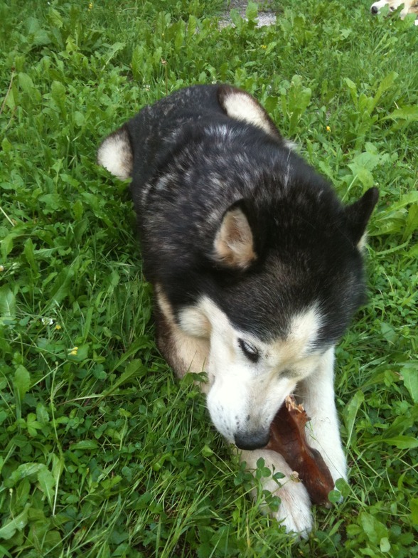 Meine schenstn....Anika, Asta, Nico  - 