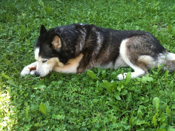 Meine schenstn....Anika, Asta, Nico  - 