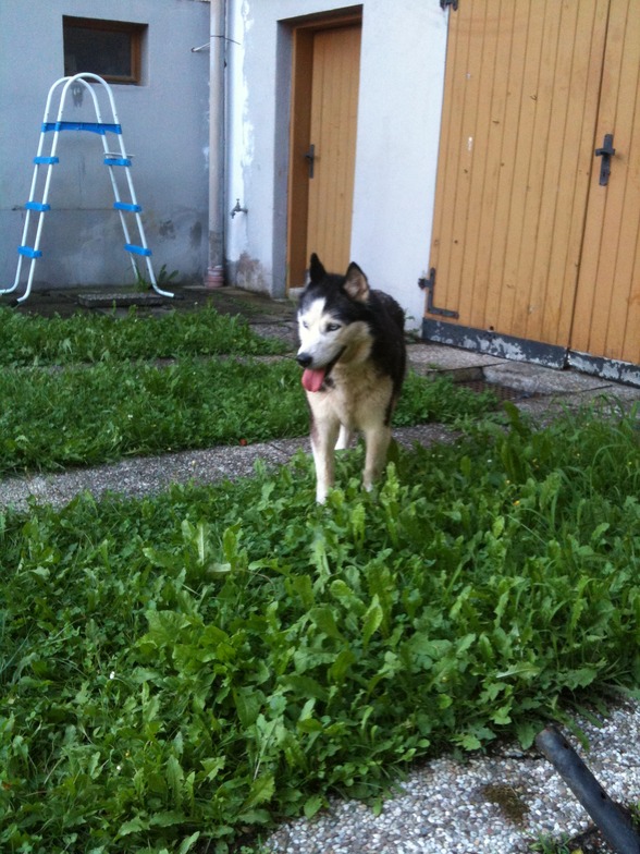 Meine schenstn....Anika, Asta, Nico  - 