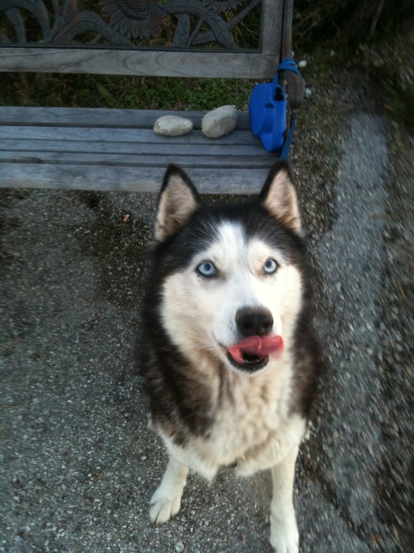 Meine schenstn....Anika, Asta, Nico  - 