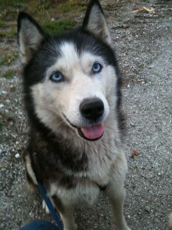 Meine schenstn....Anika, Asta, Nico  - 