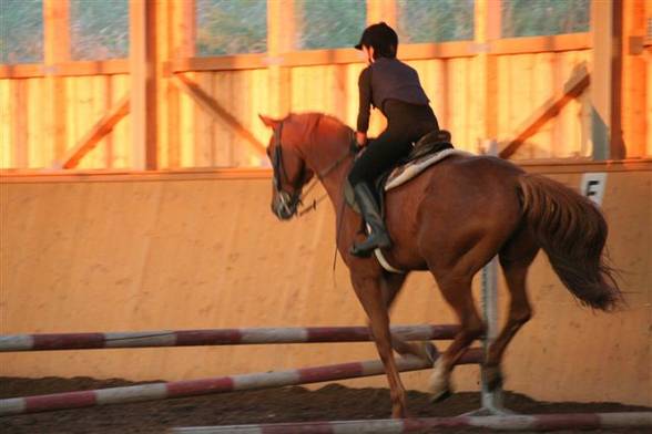 reiten... - 