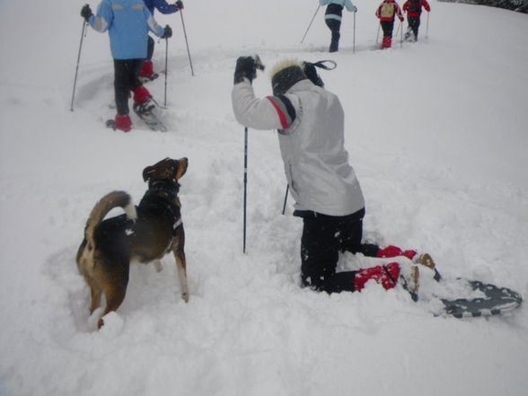 Schneehschuwandern 14.02.09 - 