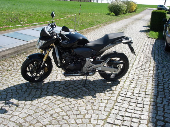 Honda Hornet 600 - 