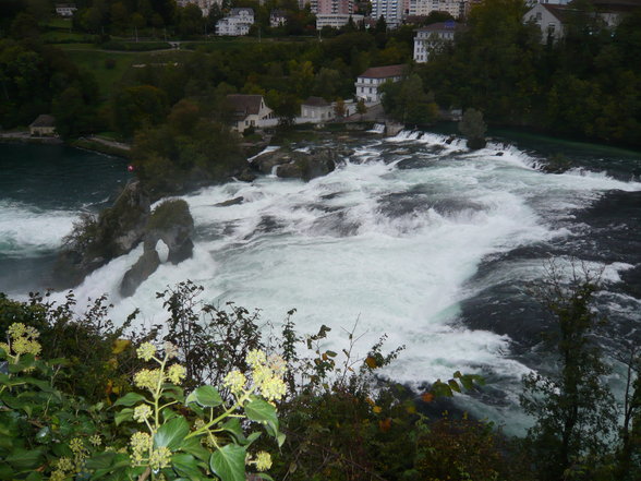 Rheinfall - 