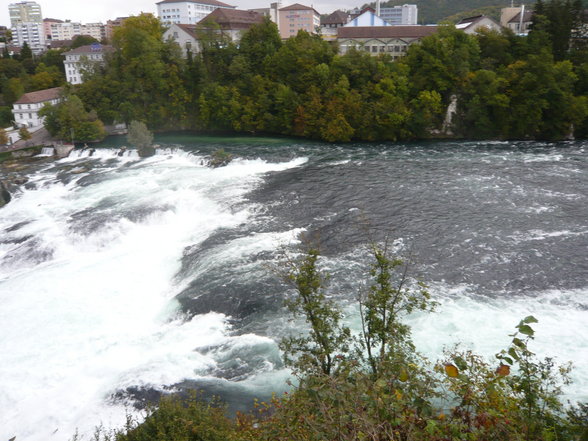 Rheinfall - 