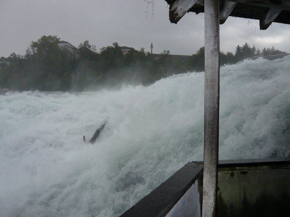 Rheinfall - 