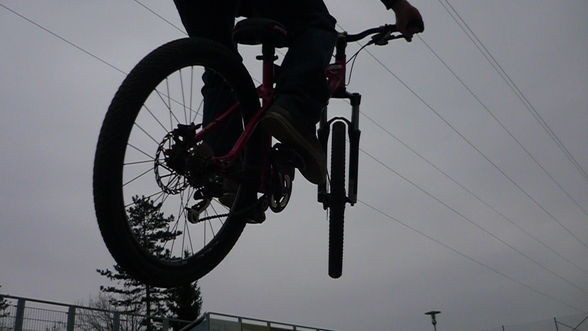 Dirt/Street/DH haha - 