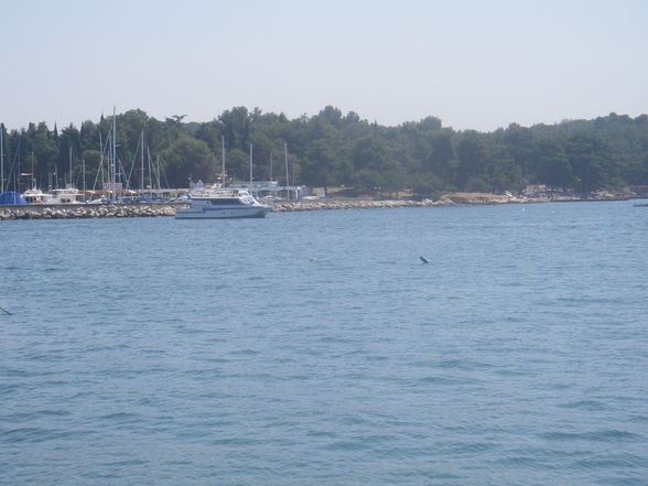 Porec 2008 - 