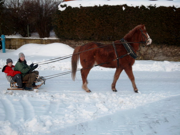 reiten - 