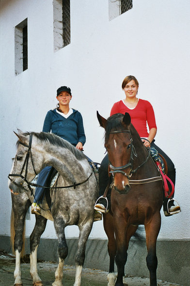 reiten - 