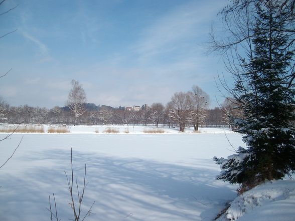 der winter von seiner schönen seite - 