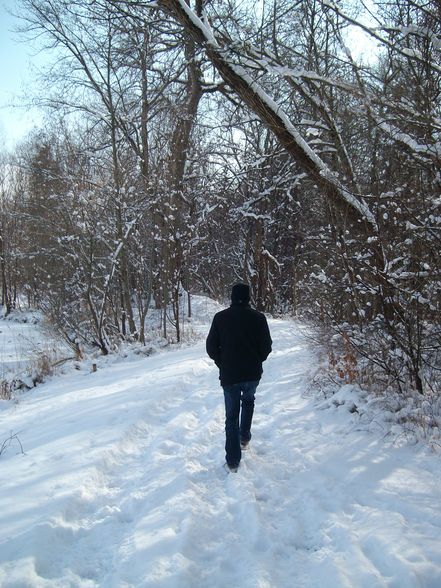 der winter von seiner schönen seite - 