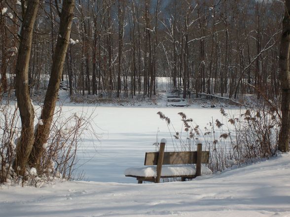 der winter von seiner schönen seite - 