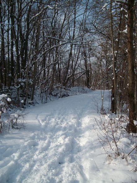 der winter von seiner schönen seite - 