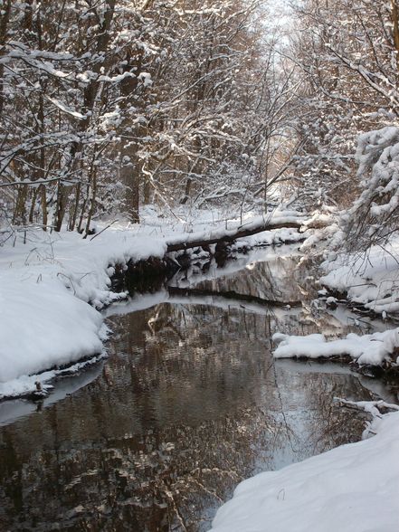 der winter von seiner schönen seite - 