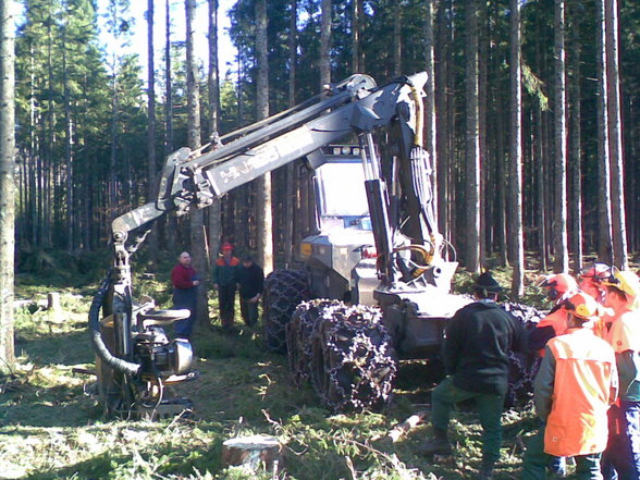 Windwurfarbeit Gmunden - 