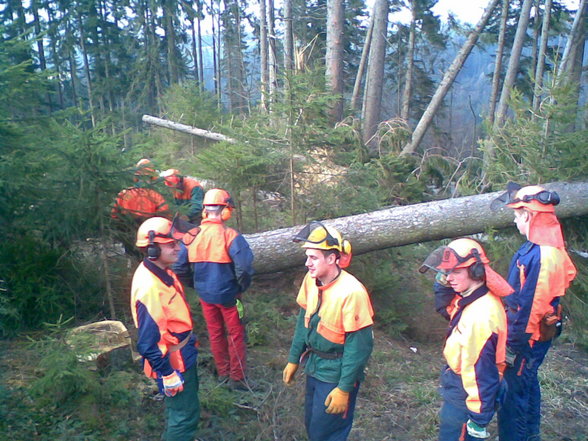 Windwurfarbeit Gmunden - 