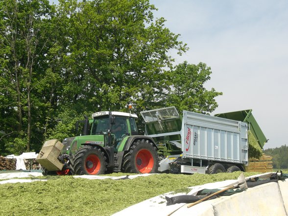 Fotos vom Feldhächsler - 