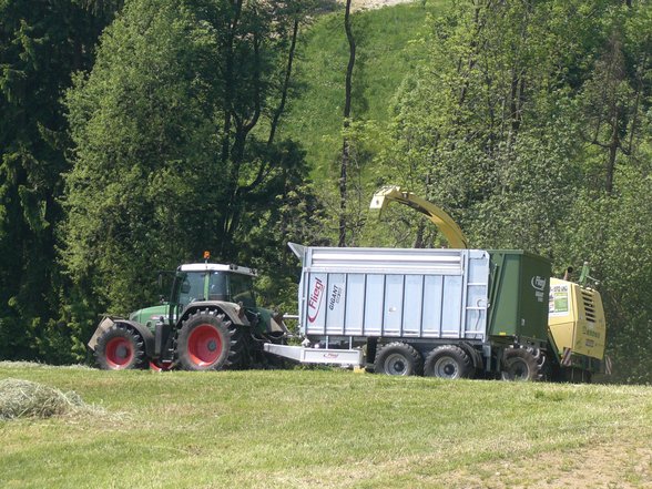 Fotos vom Feldhächsler - 