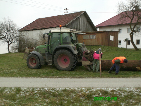 Eiche für  Wertholzsubmission - 