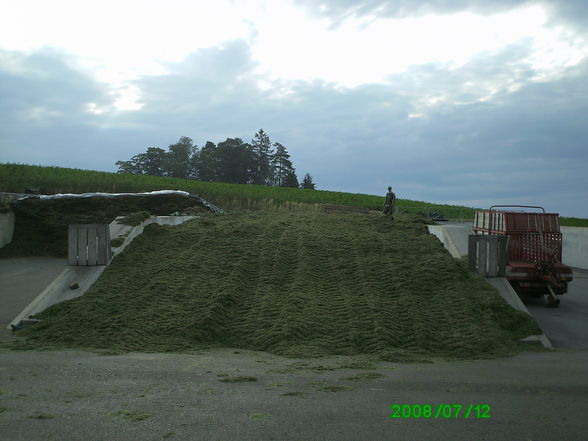 Biogasanlage Niederkappel  - 