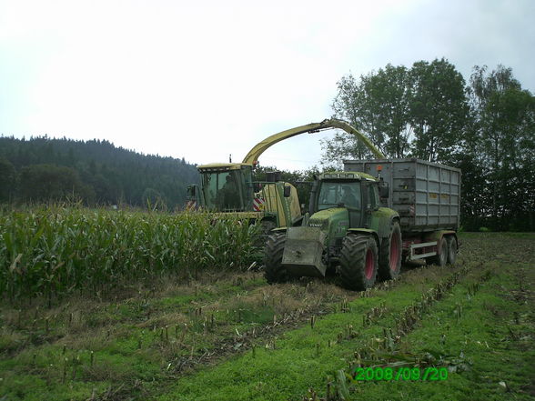 Countainer Hächseln - 